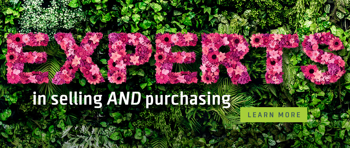 Experts in selling and purchasing. - Learn More